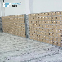 TOPPLA T-280 Series Shoe Lockers