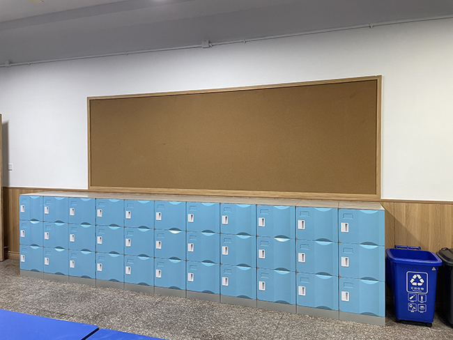 The Environmental Impact of Plastic Lockers versus Wood Lockers